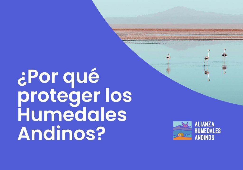 ¿Por qué proteger los Humedales Andinos?