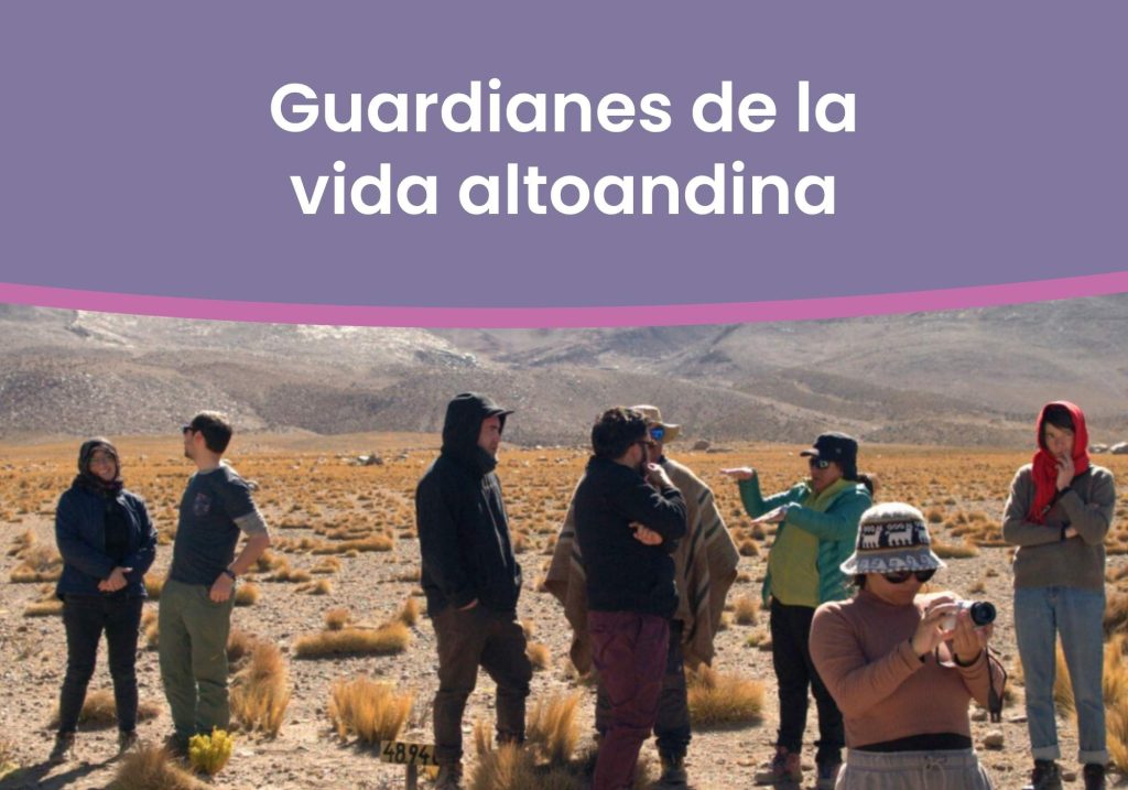 Guardianes de la vida altoandina