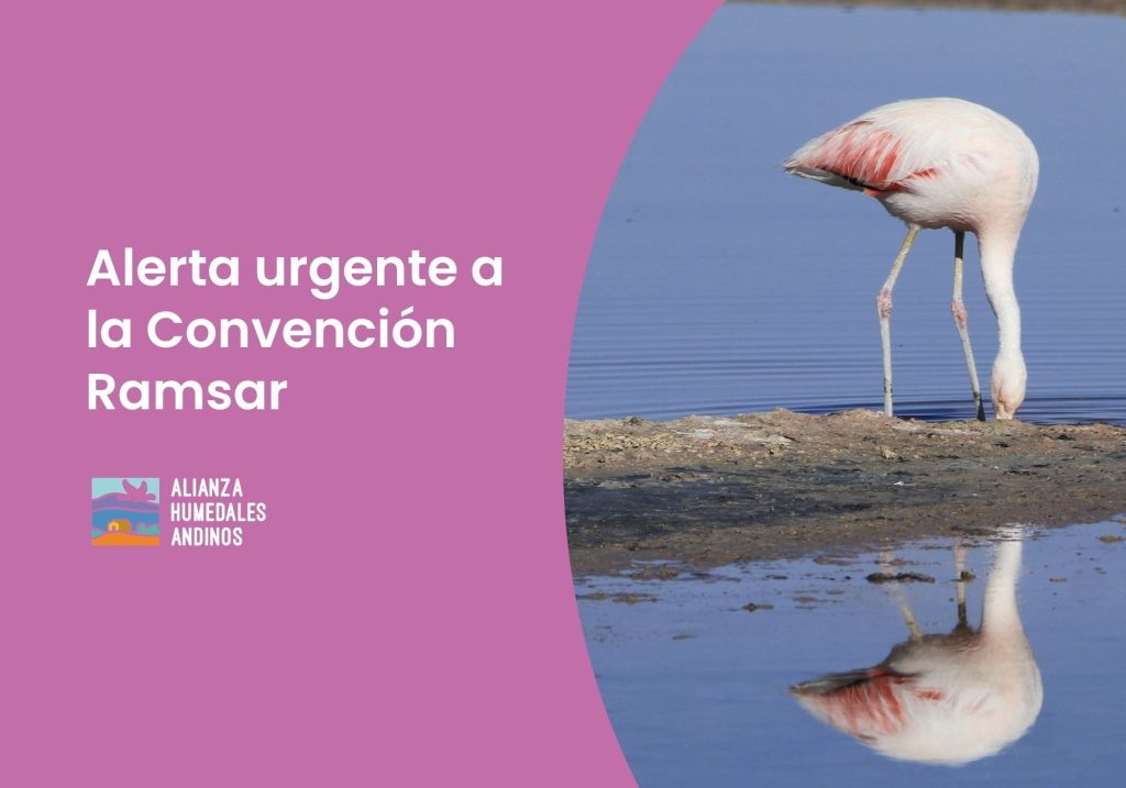 Alerta urgente a la Convención Ramsar