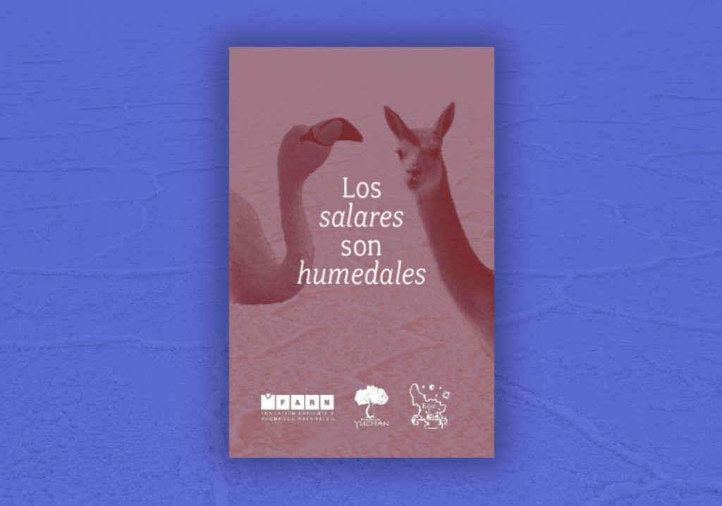 Los Salares son Humedales (librillo)