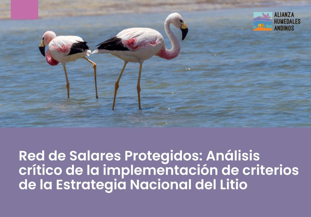 Red de Salares Protegidos: Análisis crítico de la implementación de criterios de la Estrategia Nacional del Litio (policy brief)