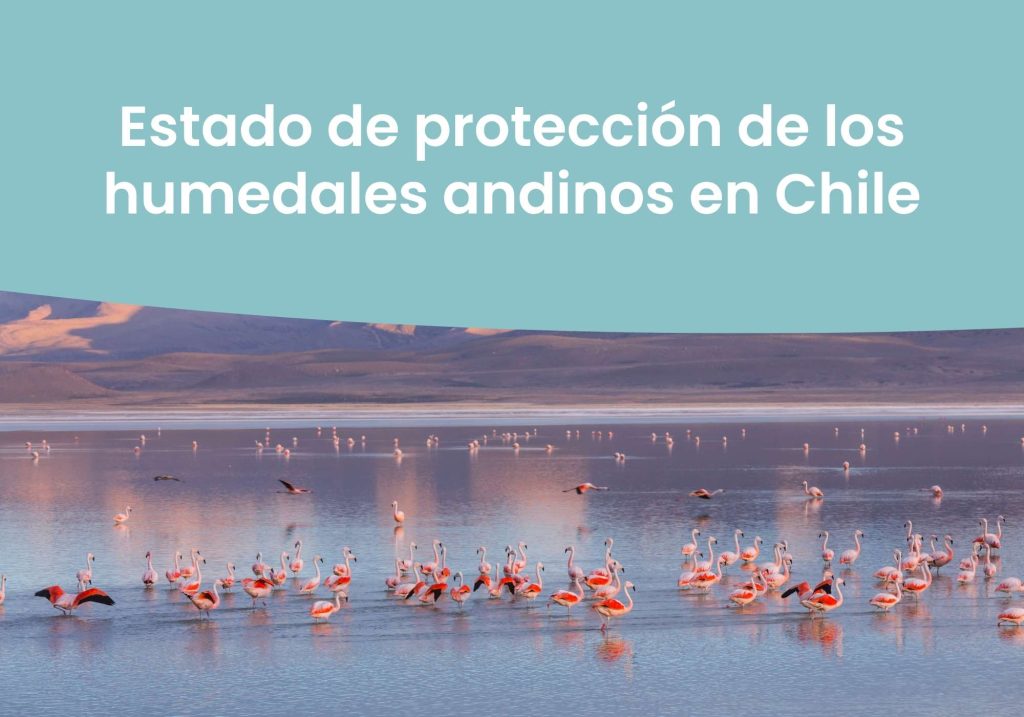 Estado de protección de los humedales andinos en Chile