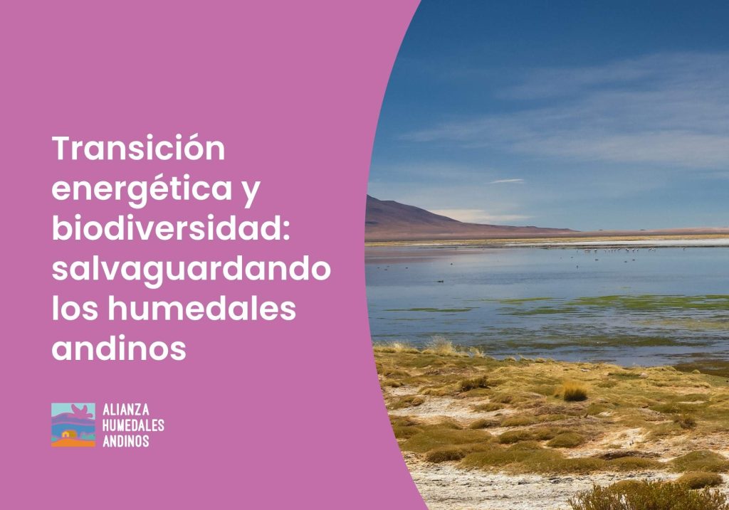Transición energética y biodiversidad: salvaguardando los humedales andinos