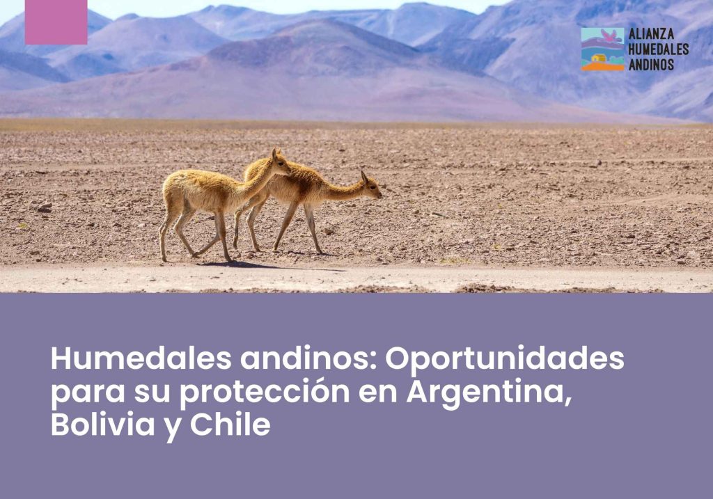 Humedales andinos: Oportunidades para su protección en Argentina, Bolivia y Chile