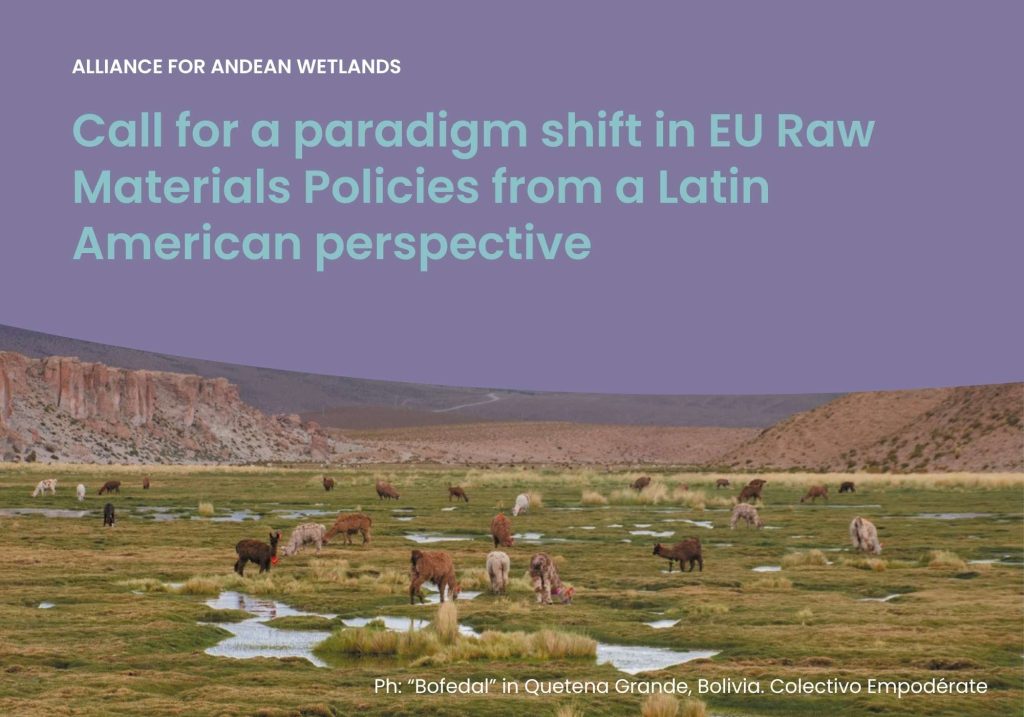 Cover for Call for a paradigm shift in EU Raw Materials Policies from a Latin American perspective