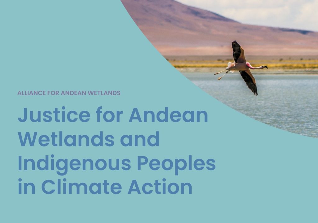 Cover for Justice for Andean Wetlands and Indigenous Peoples in Climate Action
